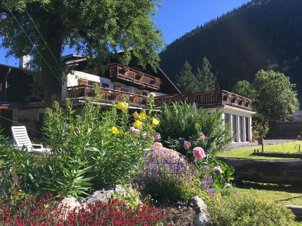 Le jardin fleuri devant la maison, avec ses massifs de vivaces et le versant boisé qui monte derrière