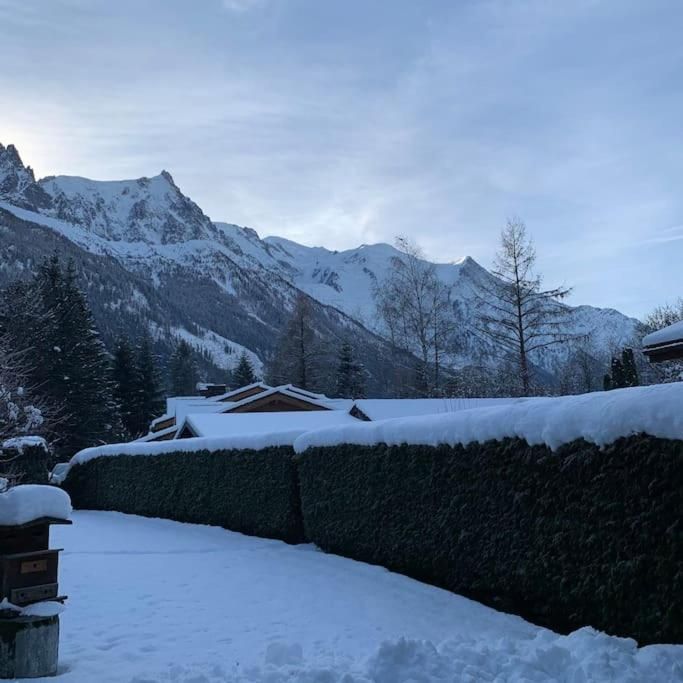 La terrasse et la haie sous une épaisse couche de neige, avec le versant boisé derrière