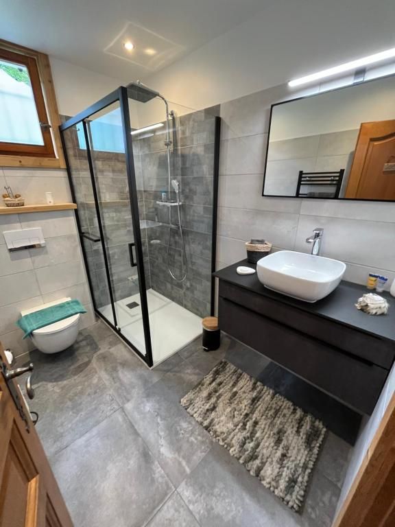 La salle d’eau, sa douche à parois noires, sa vasque posée et son plan de béton
