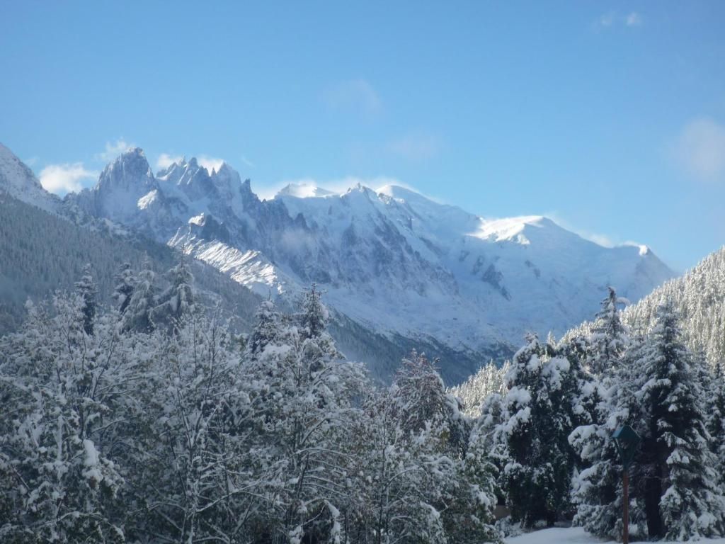 Les sommets enneigés au-dessus de la forêt de sapins chargée de neige, vus depuis la propriété