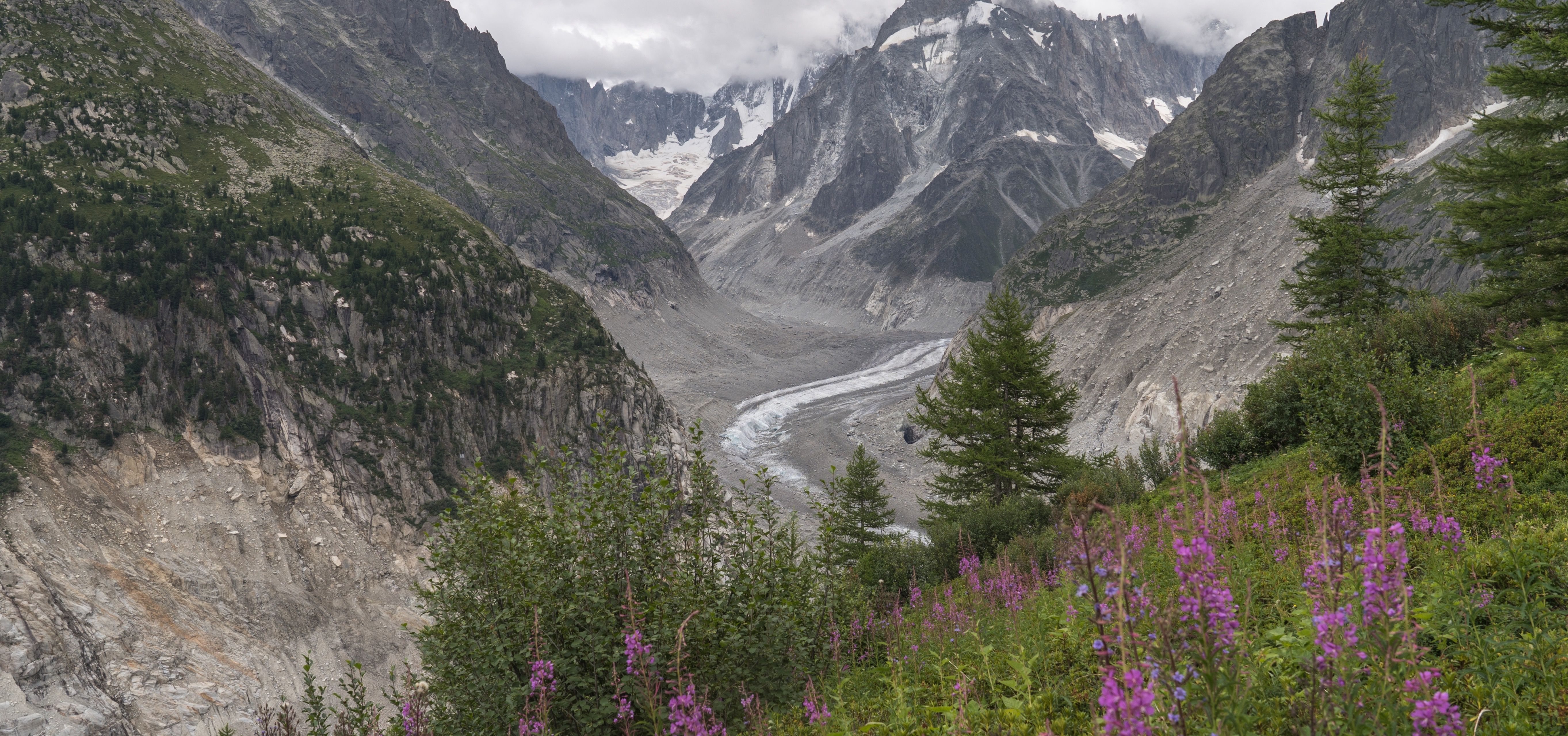 La Mer de Glace en juillet 2025
