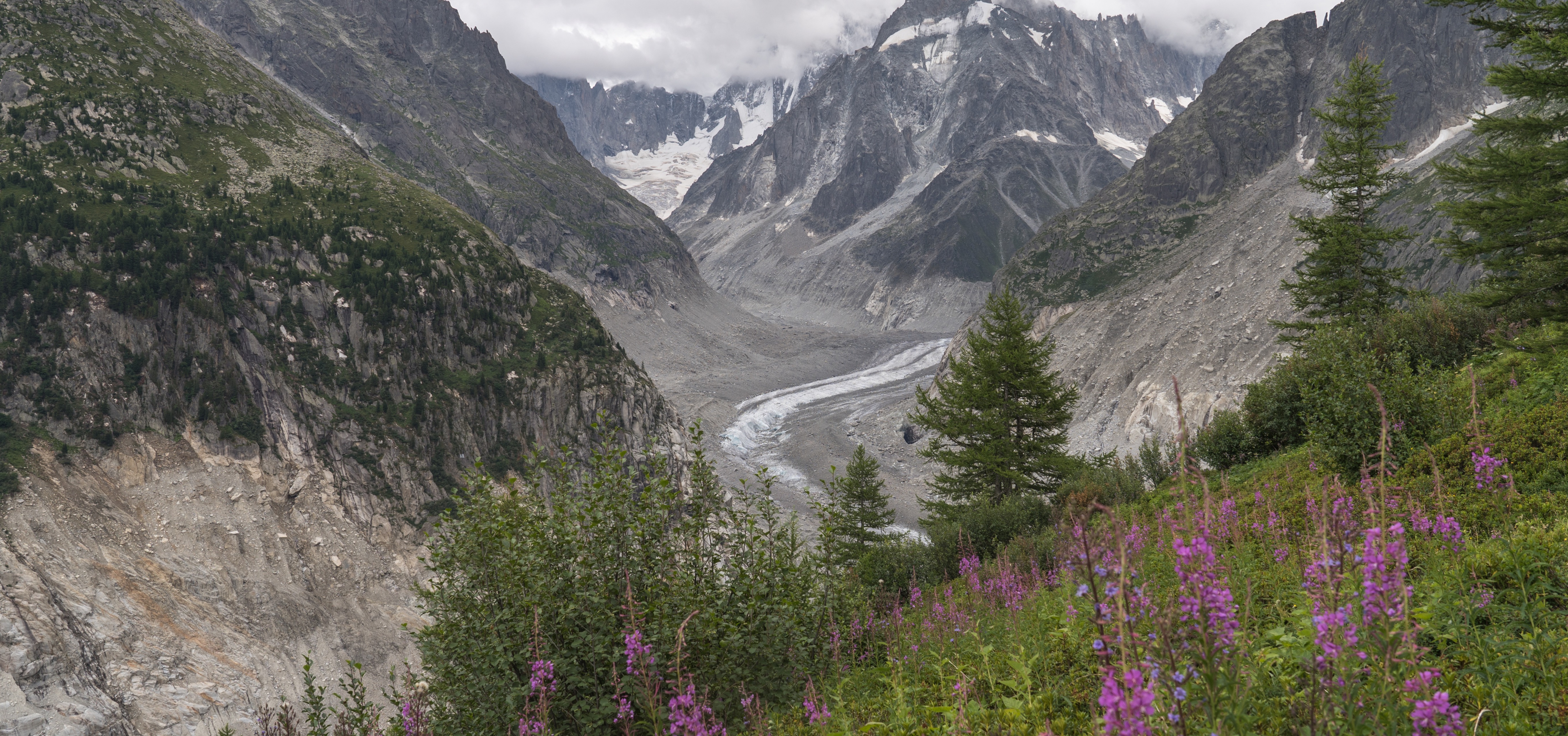La Mer de Glace vue depuis la gare du Montenvers en juillet 2025, langue grise en contrebas et moraines à nu